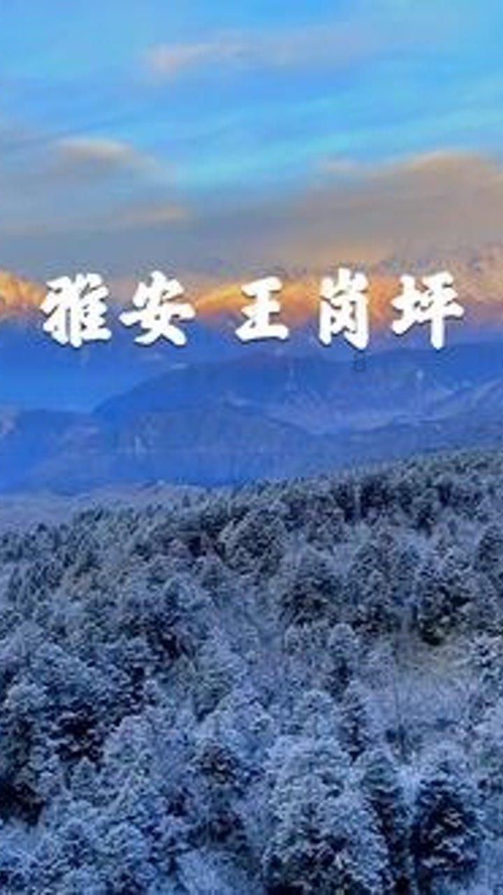 实况：王者集结
