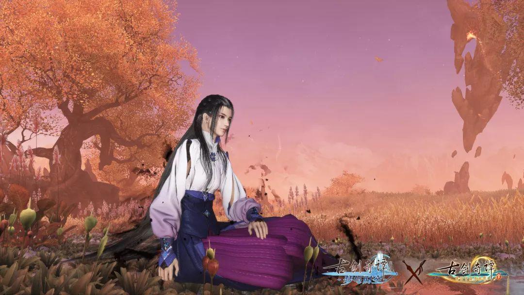 逃离整洁的庭院