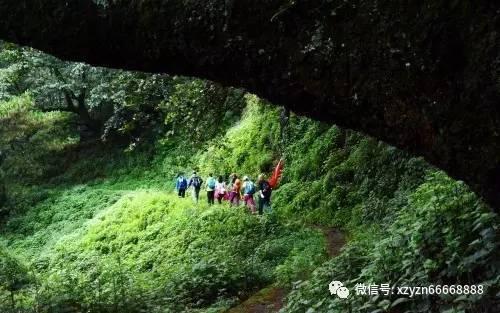 网友称一服务区充电桩2.98元/度比加油贵,客服:统一价1.8元,从未改过