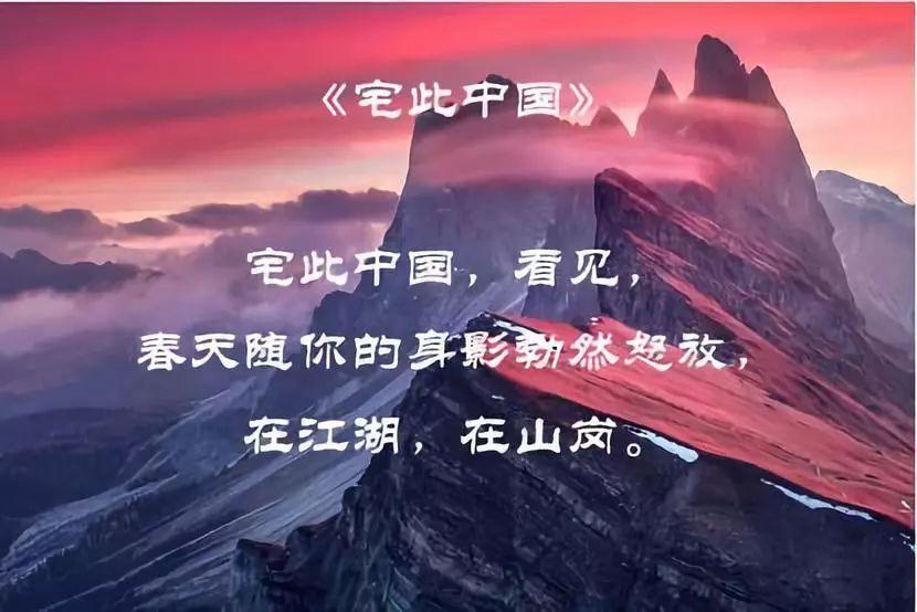 拯救小萌虎