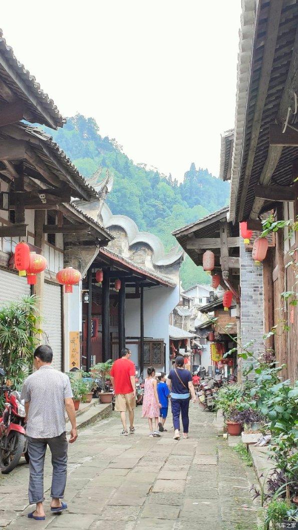 布什系情报帝国成型：苏德美情报机构的哈里曼·布什联盟