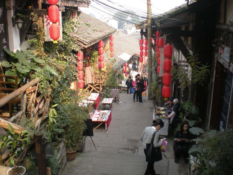 天天趣抓